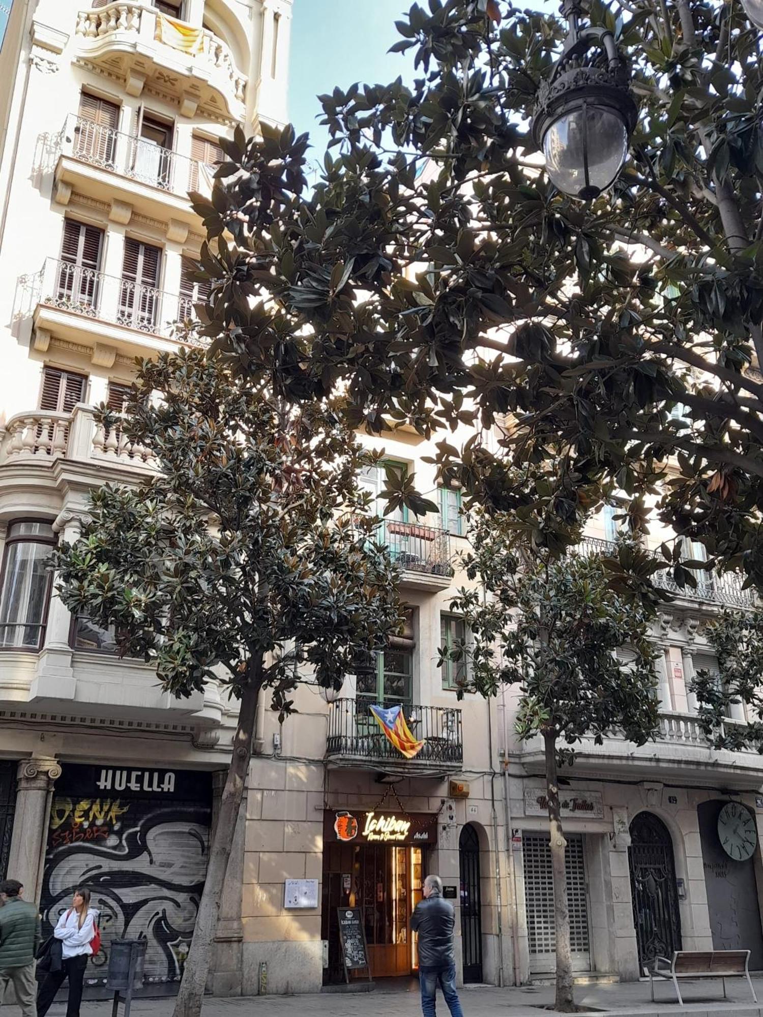 La Casa De Laura Nisia B&B Barcelona Eksteriør bilde